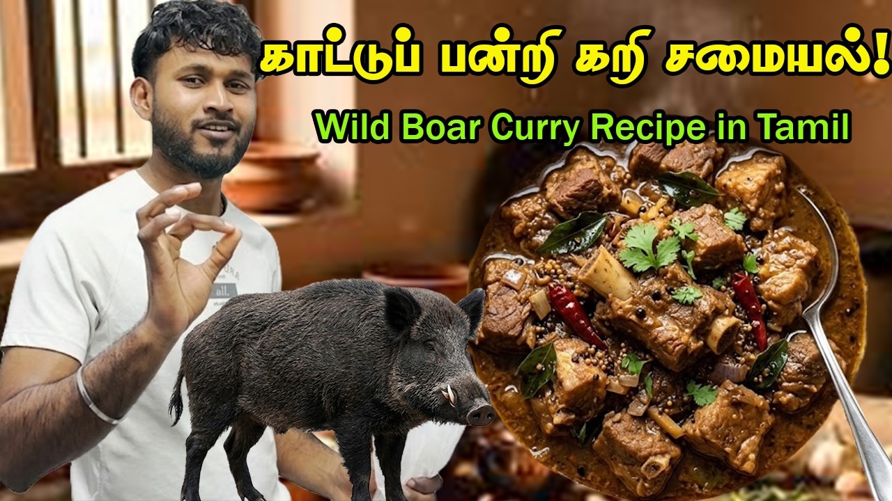 காட்டுப் பன்றி கறி சமையல் - புட்டுடன் ஒரு பிடி! | Authentic Puttu and Pork Curry