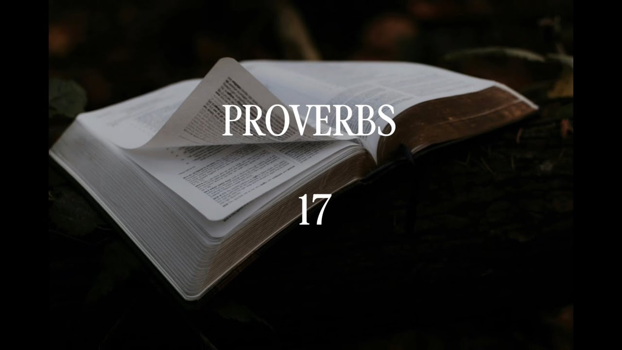 Proverbs 17: Peace over Strife