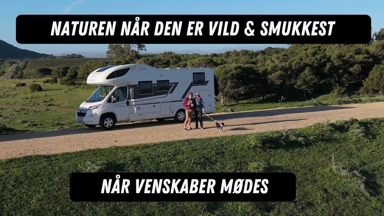 Vi sætter kursen - Naturens mesterværker venter! 🚐 🏔️ 🌳🐶 🌞