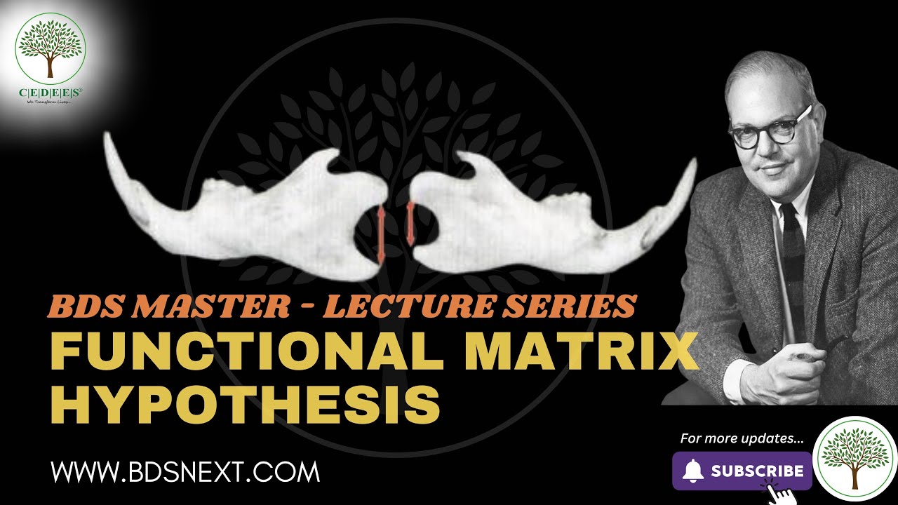 Functional Matrix Hypothesis for Final BDS  - Cedees BDS MASTER Lecture Series .
