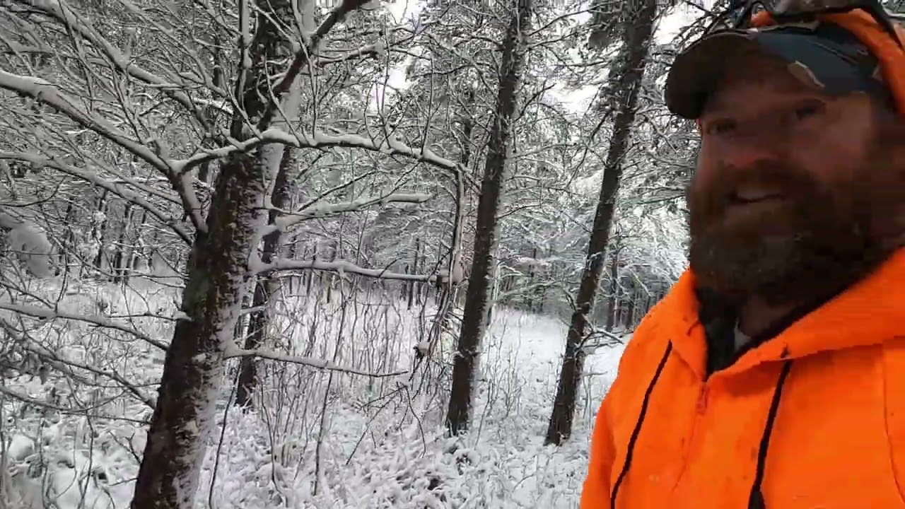 Marten, Fisher and Bobcat trapping 2023 opener