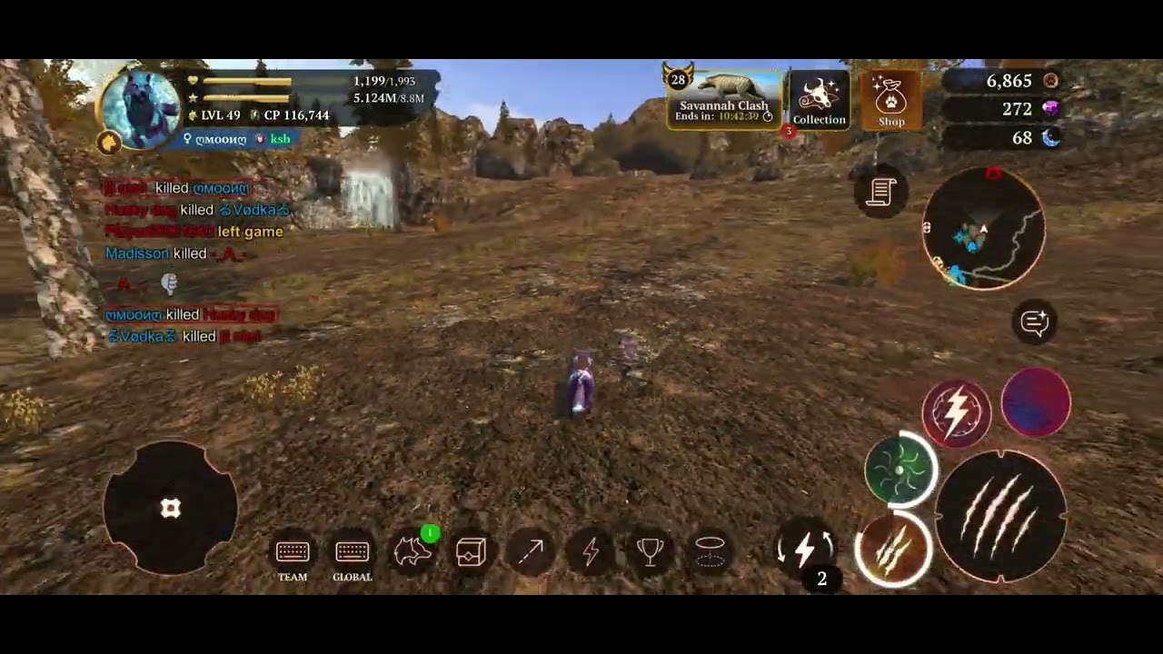 The wolf level 45-49 PvP