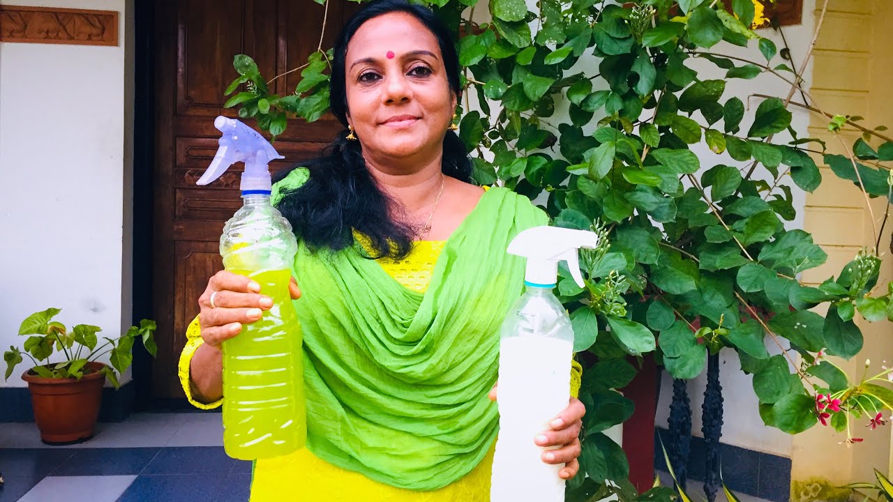 കായ് പൊഴിച്ചിലും മുരടിപ്പും പാടെ മാറ്റാം!!ഇതൊന്നു പരീക്ഷിച്ചു നോക്കു!Try this to grow healthy plants