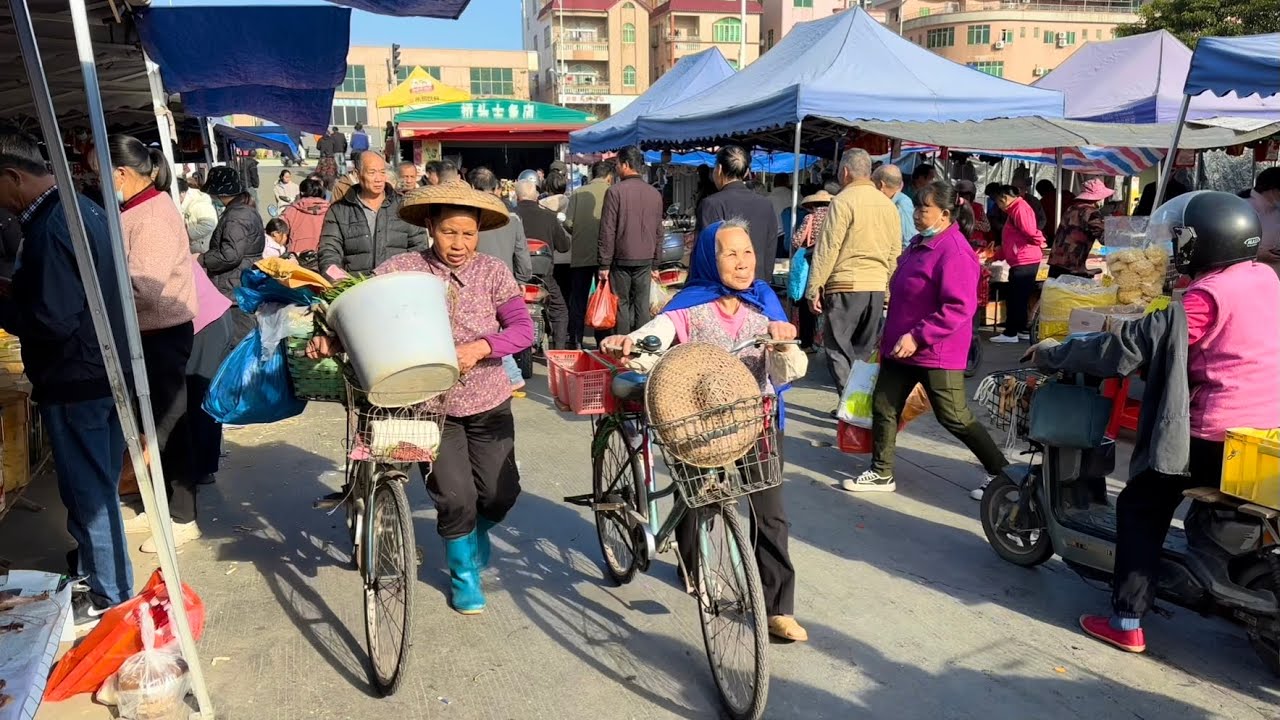 廣州鄉下傳統集市-鱼窝头早市，墟日趁墟現狀實錄