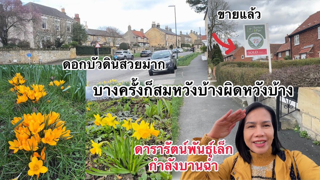 หมู่บ้านแบบนี้ซื้อง่ายขายคล่องกับบรรยากาศฤดูใบไม้ผลิดอกไม้ที่สวยงาม 