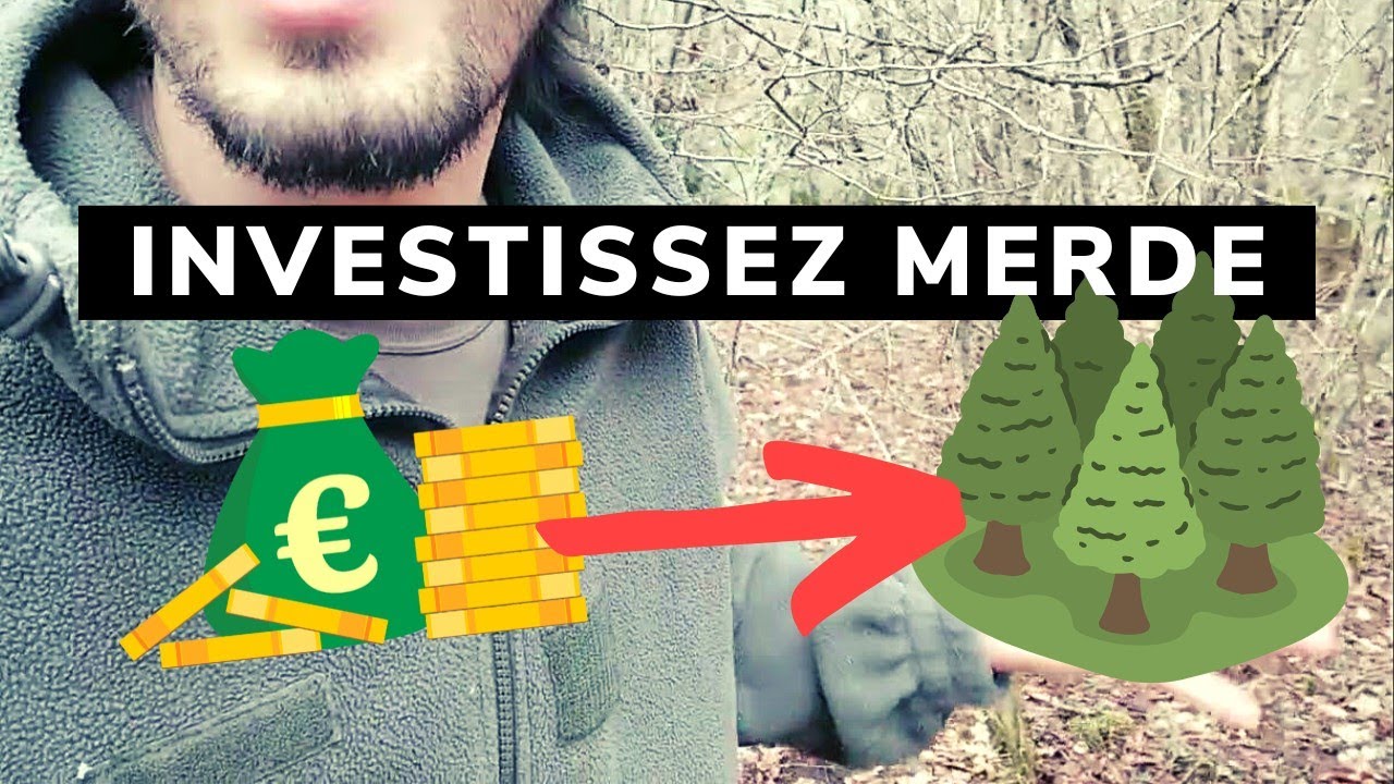 🌳Pourquoi j'ai acheté une FORÊT (et vous devriez faire pareil)