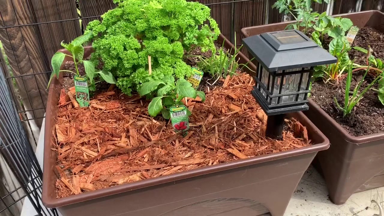 Adding City Picker, Self Watering Garden Beds to my succulent and cacti garden
