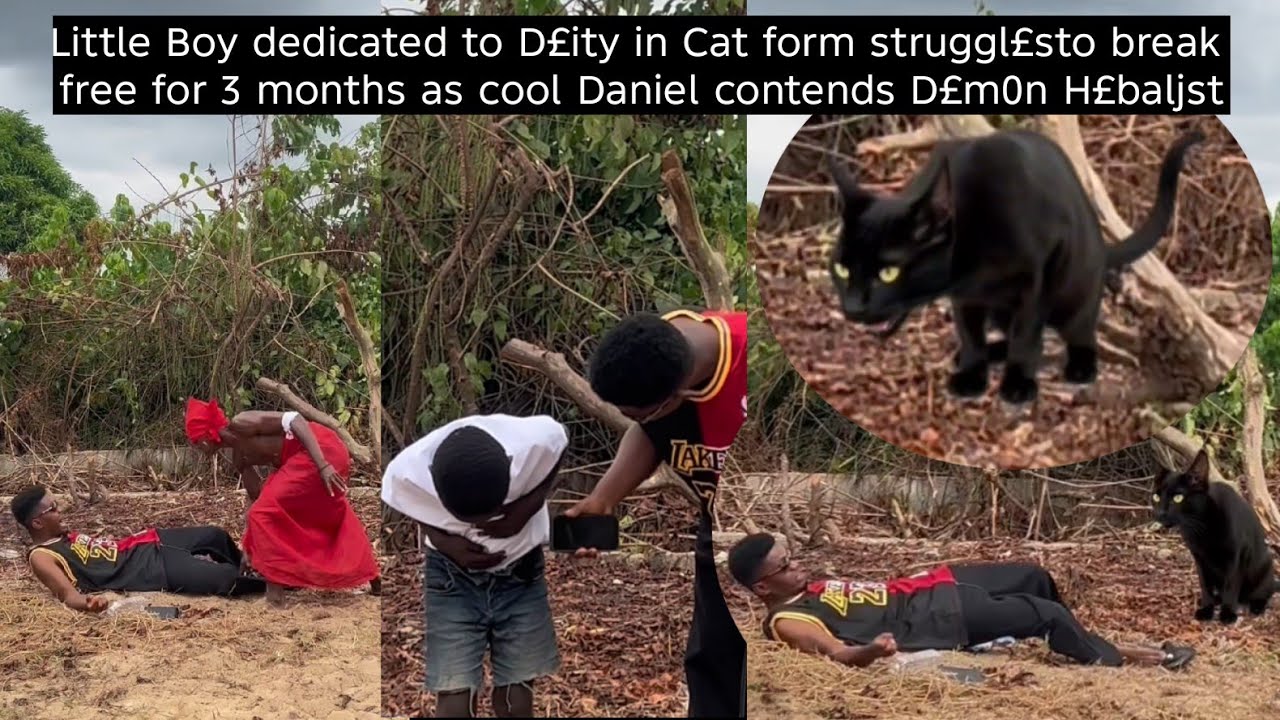 Крутые тяготы для маленького мальчика, преданного злому травнику, который служит демоническому ко...