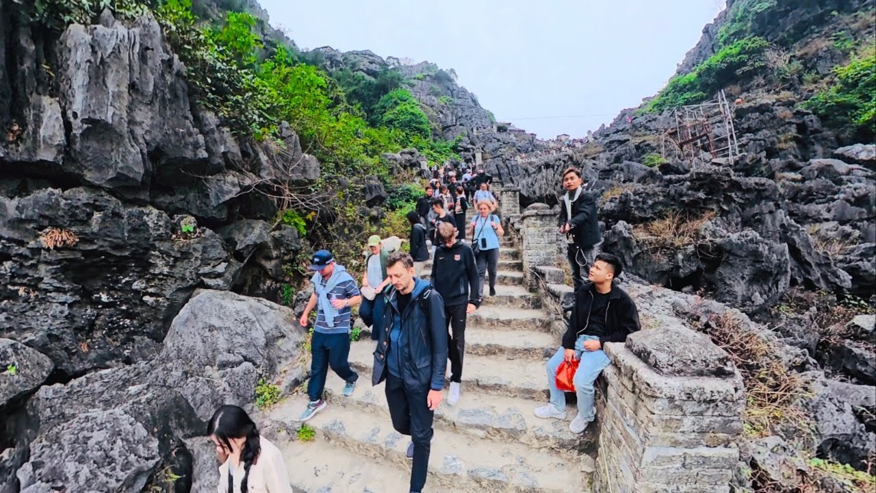 Du Lịch Hang Múa Hoa Lư Ninh Bình 2026 Chinh Phục 500 Bậc Thang Như Vạn Lý Trường Thành Trung Quốc 