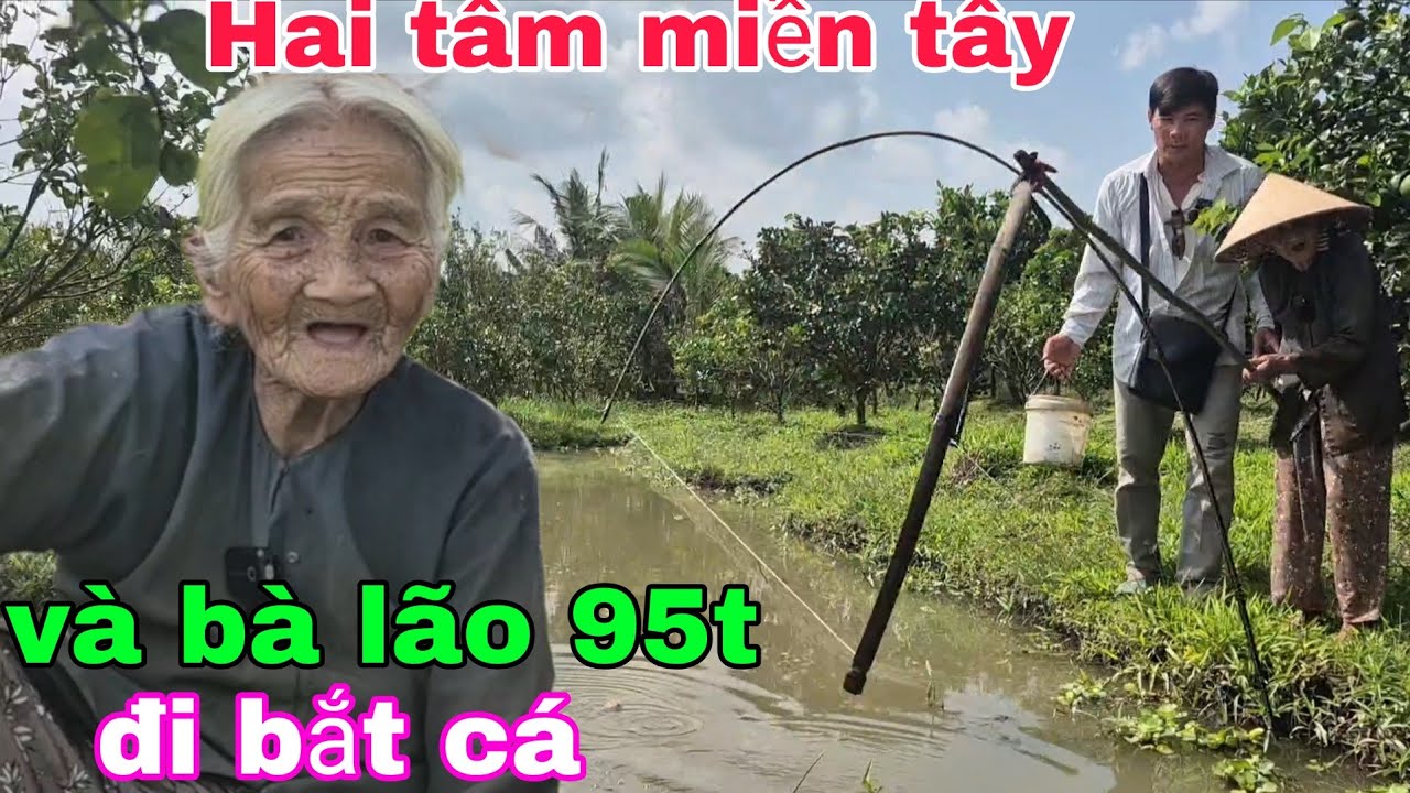 Hai tâm miền tây và bà lão 95t cắt lục bình đi bắt cá 