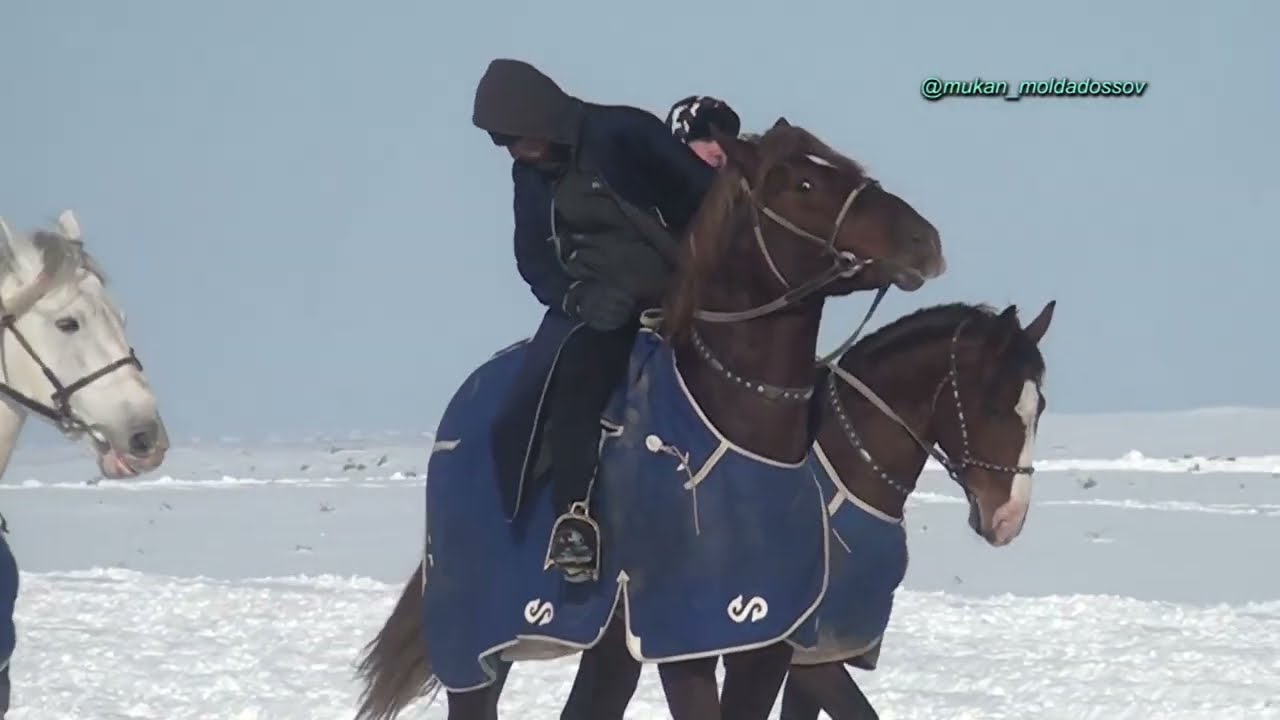 Кенжебаевтар аулети Бакытжан Мейржан Бекжан мырзалардын елден бата алу той кокпар Шардара 11 01 2023