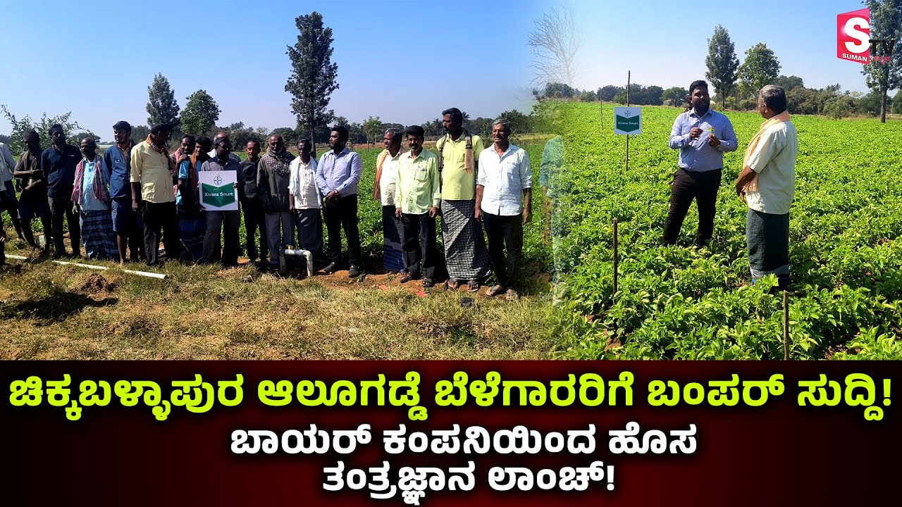 ಚಿಕ್ಕಬಳ್ಳಾಪುರ ಆಲೂಗಡ್ಡೆ ಬೆಳೆಗಾರರಿಗೆ ಬಂಪರ್ ಸುದ್ದಿ! ಬಾಯರ್ ಕಂಪನಿಯಿಂದ ಹೊಸ ತಂತ್ರಜ್ಞಾನ ಲಾಂಚ್!