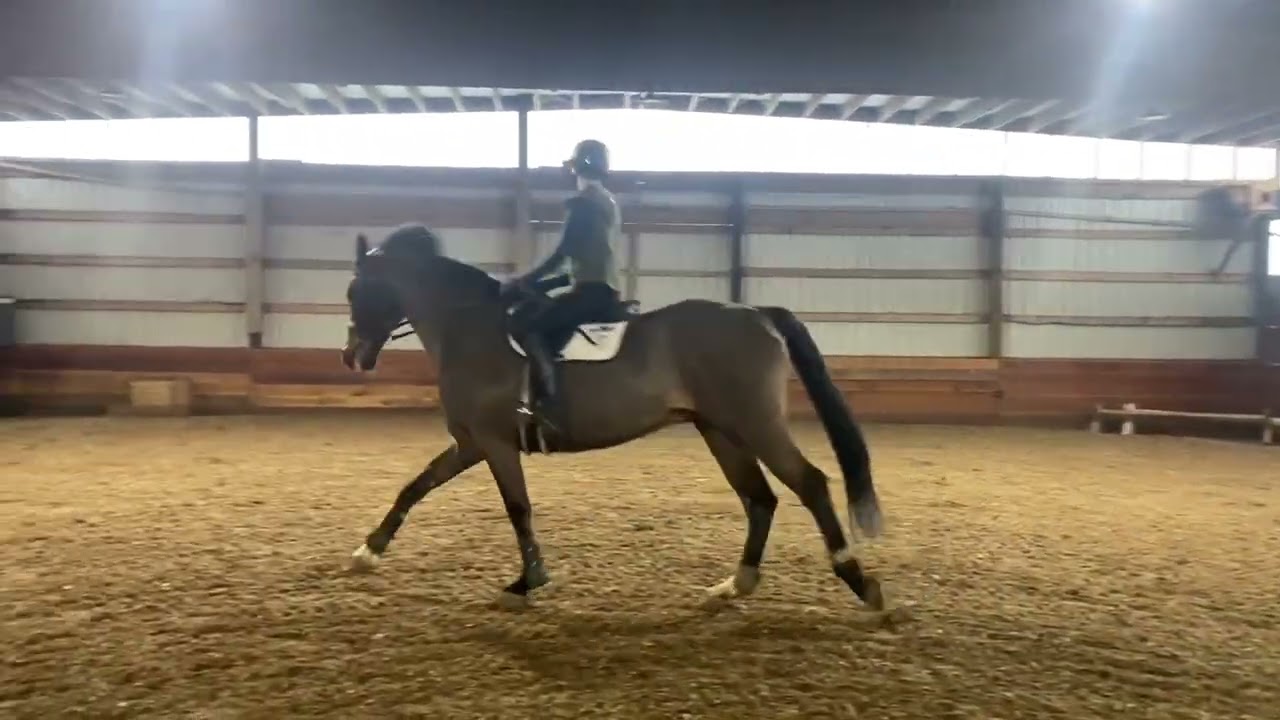 Flat lesson catch ride on Calgino Z