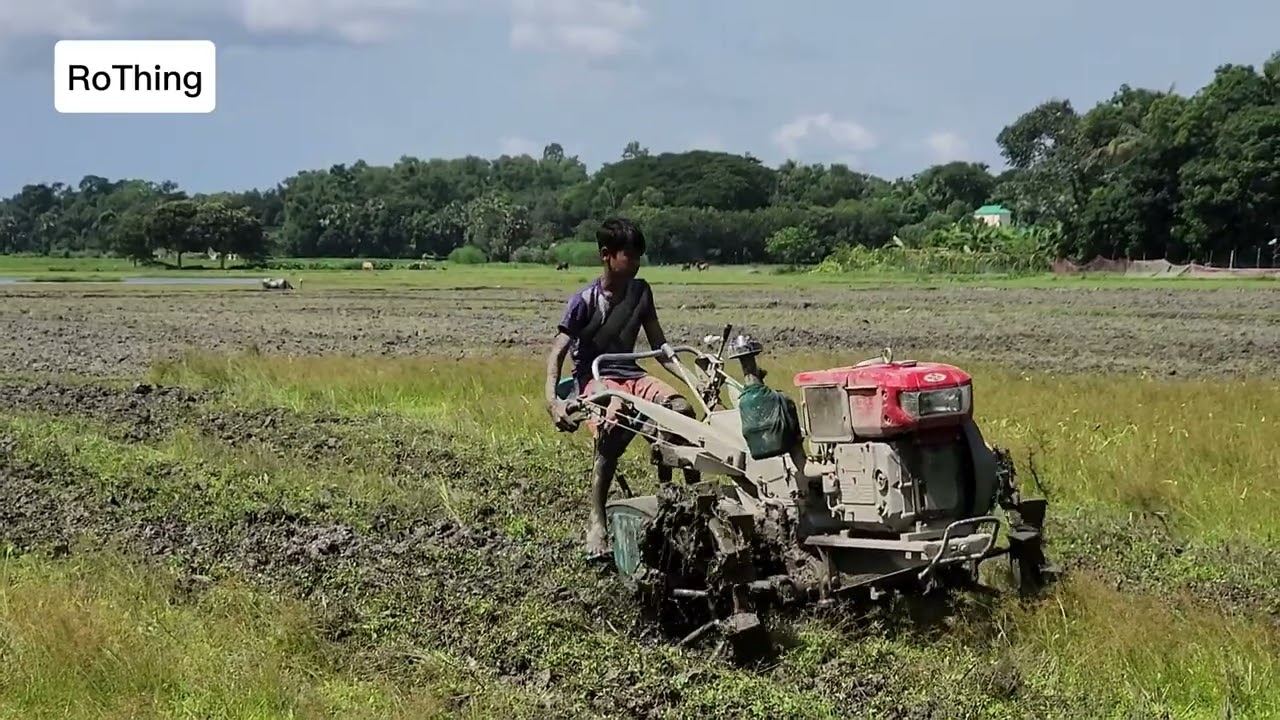 বর্ষার বৃষ্টির পানি দিয়ে আমন ধান চাষ | Preparing Land for Aman Rice Cultivation with Tractor