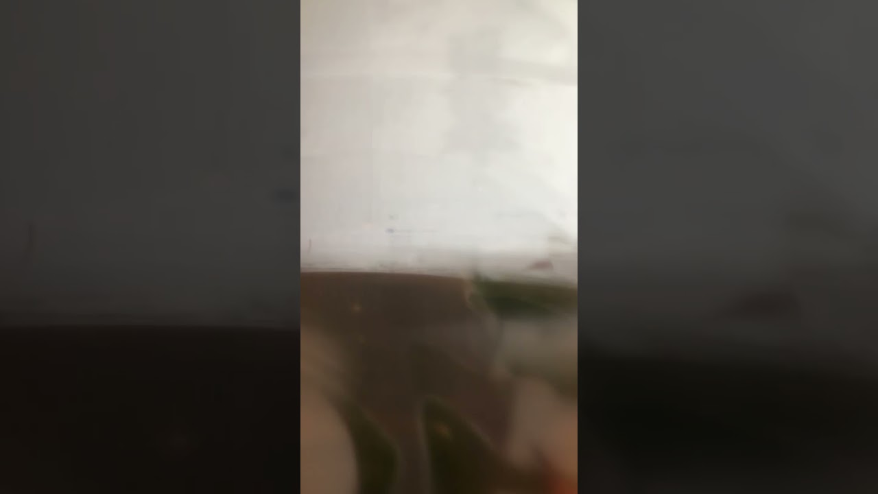 210910_어느새