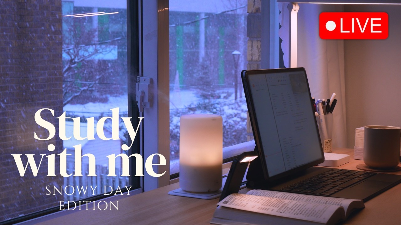 🔴 STUDY WITH ME ❄️ Snowy Edition | 🔥 Cozy Fireplace Sounds | ☃️ Pomodoro 50/10
