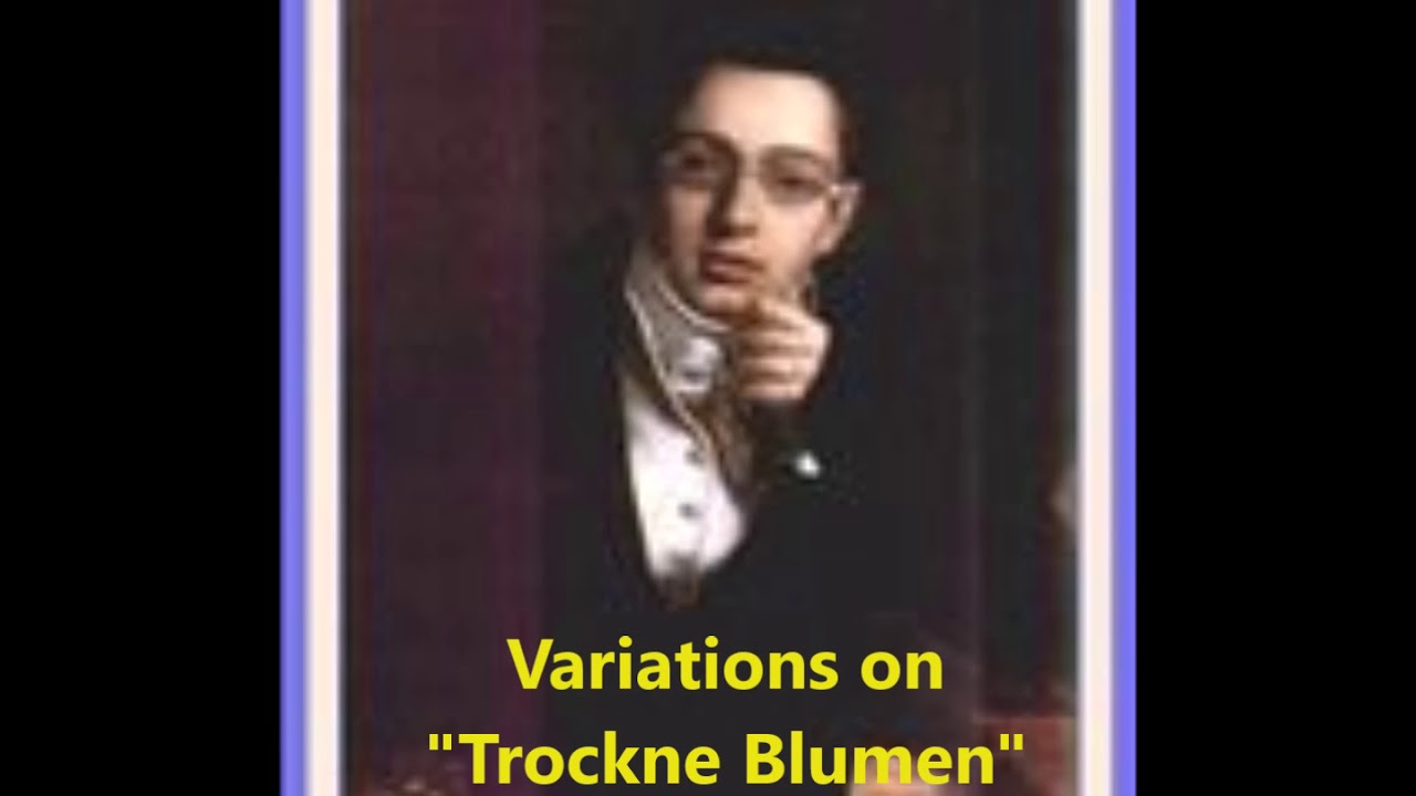 John Wummer, and Seymour Bernstein: SCHUBERT: Variations on 