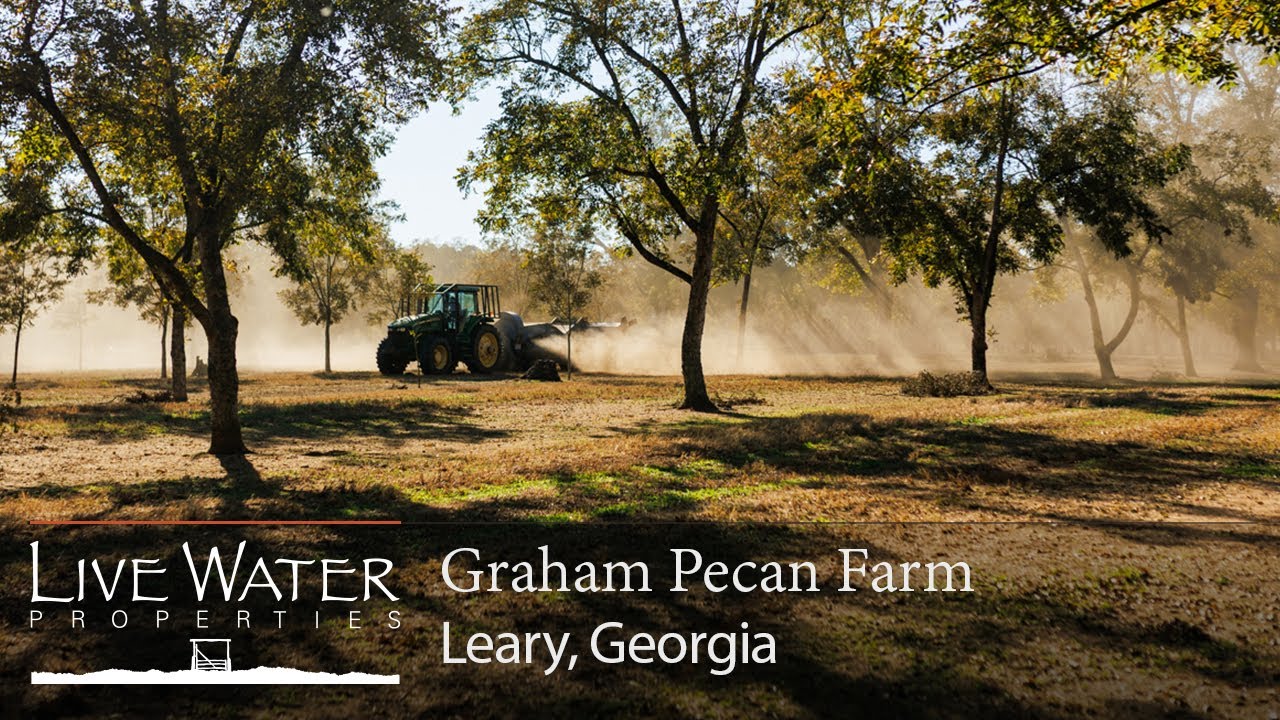 Graham Pecan Farm | Georgia Farms for Sale