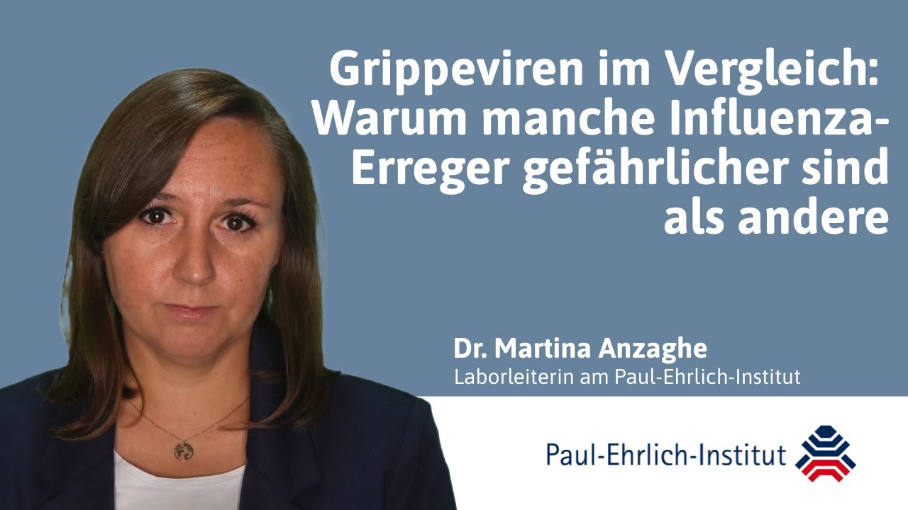 Grippeviren im Vergleich: Warum manche Influenza-Erreger gef&auml;hrlicher sind als andere