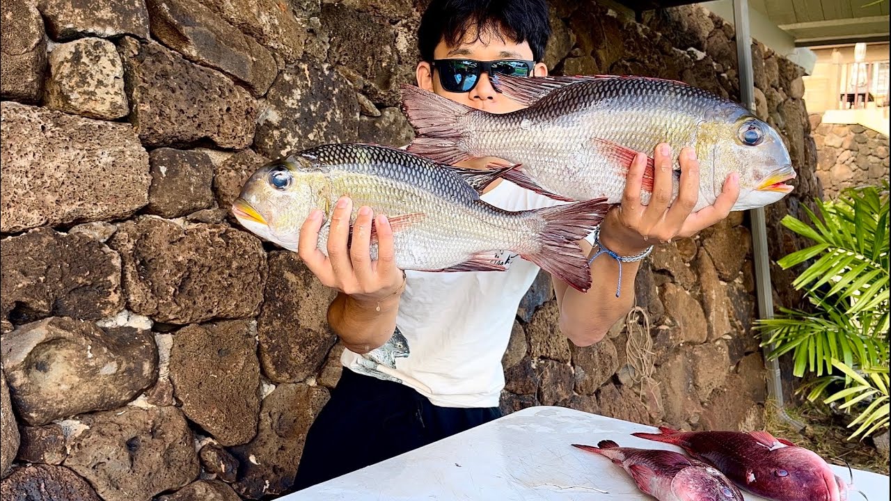 Spearfishing New Spots For Mu, BIG Goats, And GIANT Invasives! | Mu Catch And Cook