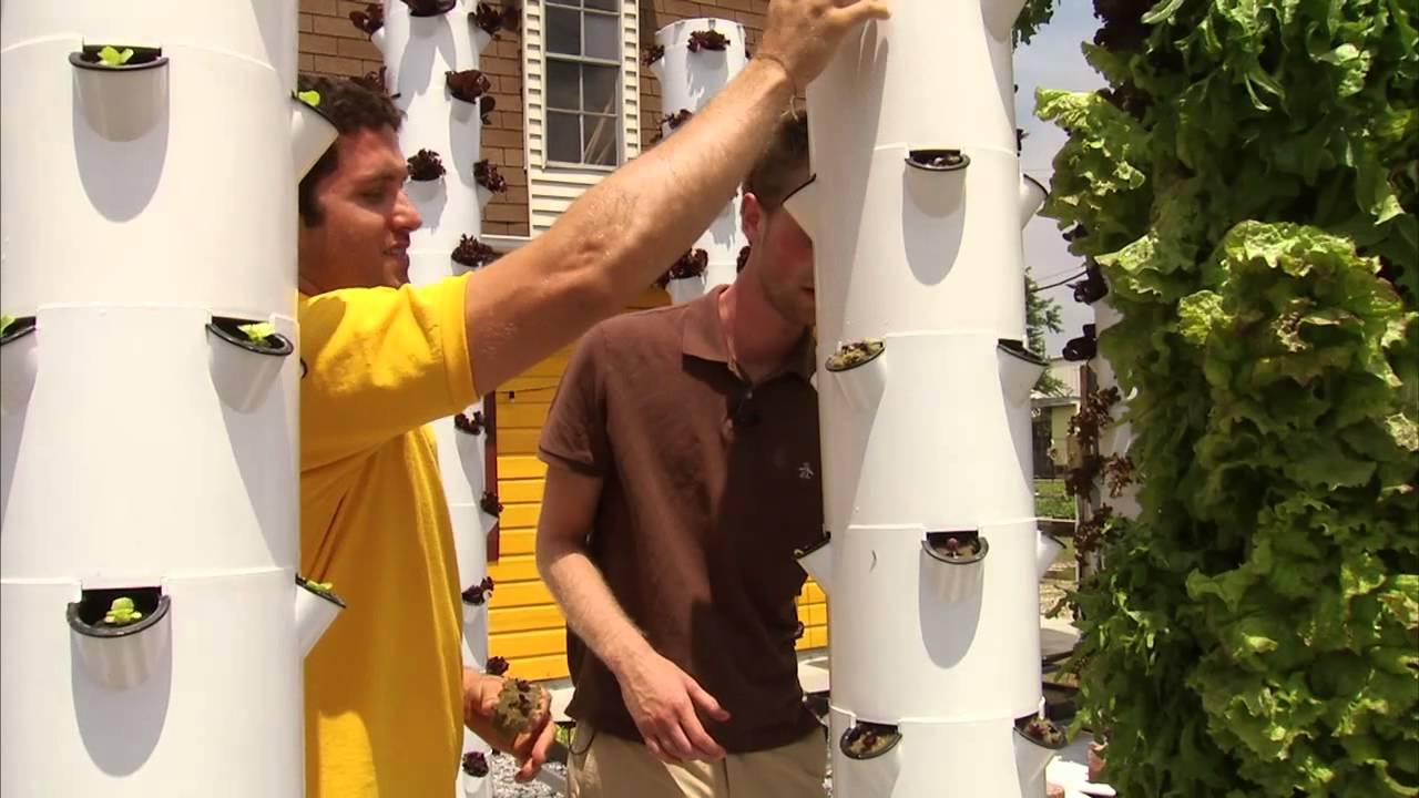 New Orleans Aeroponic Gardens - America's Heartland