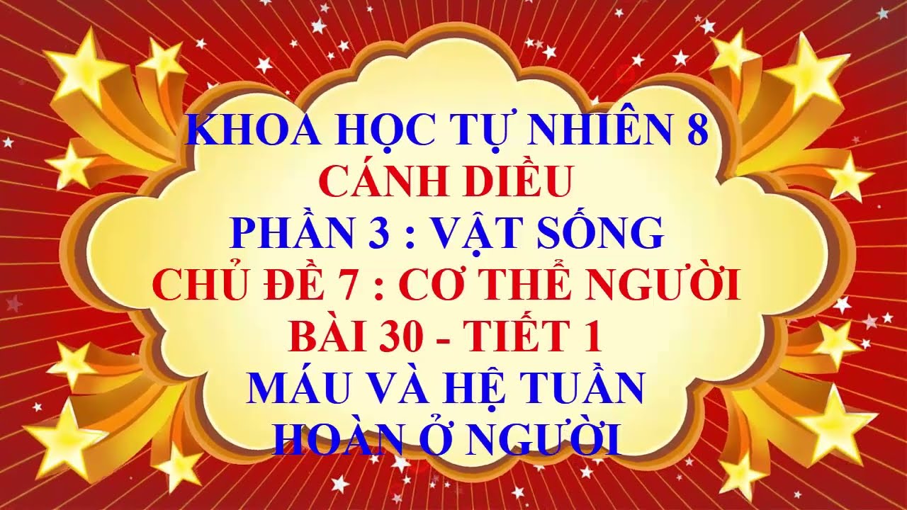 Khoa học tự nhiên lớp 8 - Cánh Diều - Chủ đề 7 - Bài 30 - Máu và hệ tuần hoàn ở người - Tiết 1