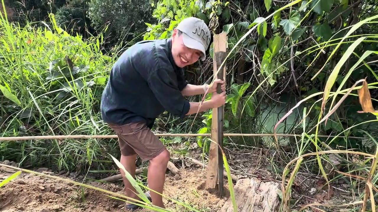 上门女婿在老挝过年，难道要先去地里干活才能过？New Year in Laos: As a Son-in-law, do I have to work in the fields first?