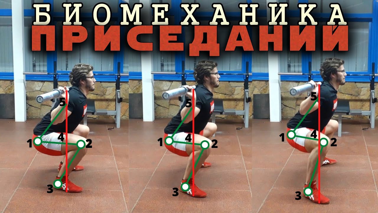 БИОМЕХАНИКА ПРИСЕДАНИЙ. Как нужно приседать?