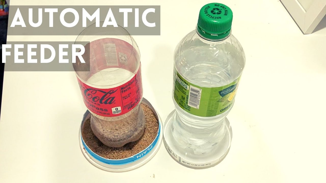 how to make automatic chicken quail feeder for chicks from bottles. water feeder.