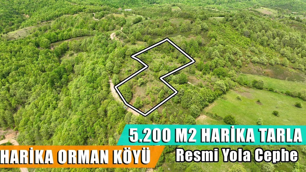 1837- G&ouml;nen'de Harika Orman K&ouml;y&uuml; 5.200 m2 Resmi Yola Cephe Harika Tarla