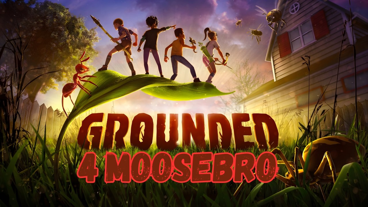 GROUNDED FOR MOOSEBRO