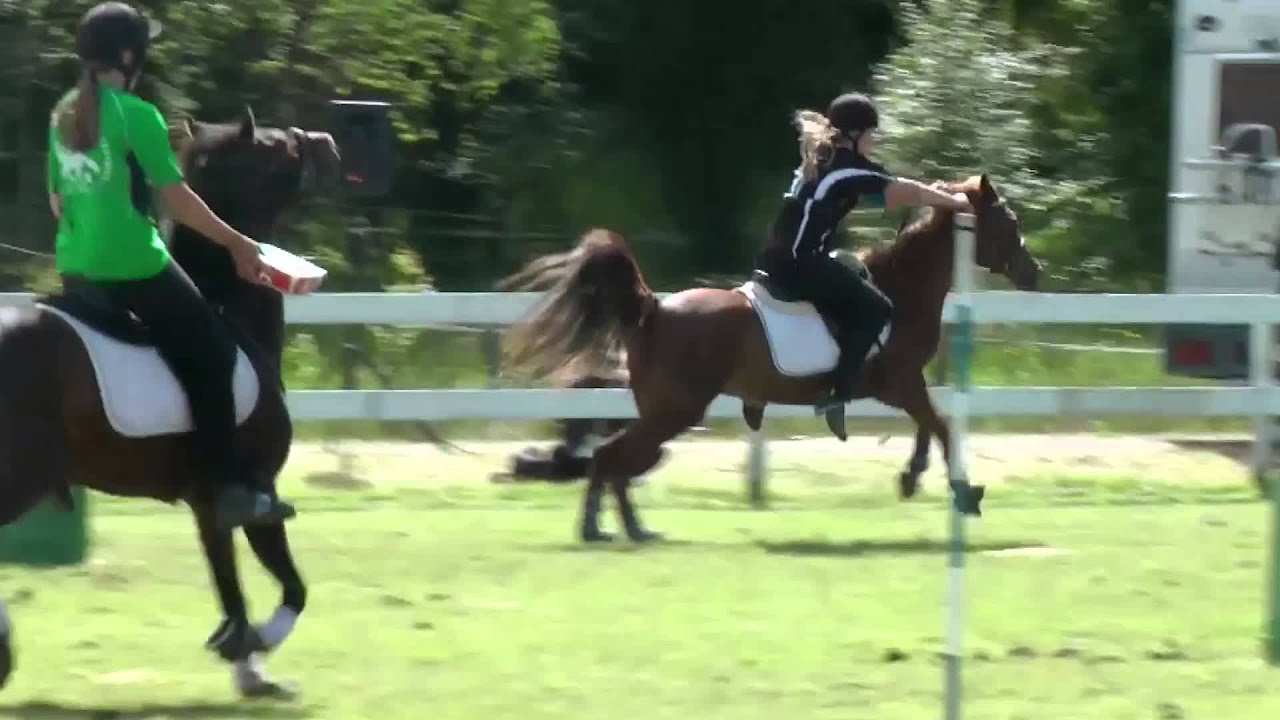 Mounted Games: Karen Houge & Solo - Nisse Cup 2015