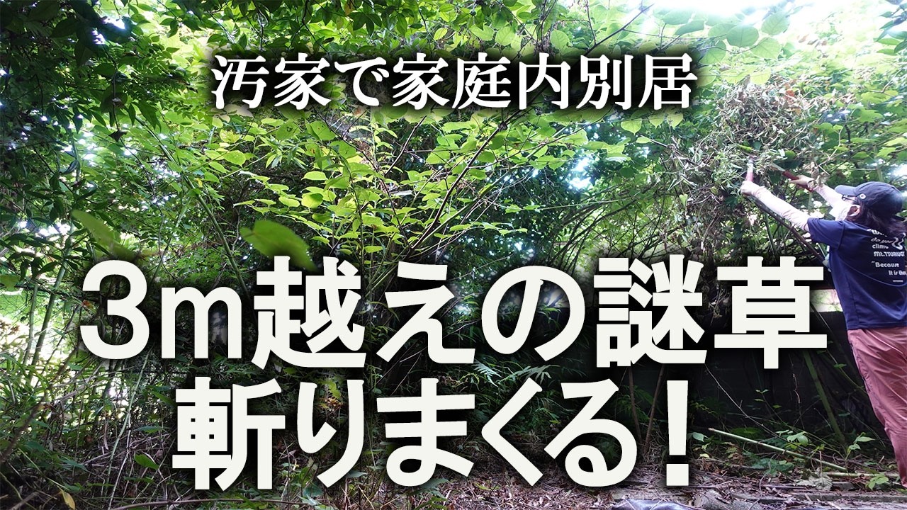 【片付け】汚山開拓してるけど、体調がヤバすぎる｜汚部屋｜ズボラ主婦｜空き家｜庭作業｜外仕事