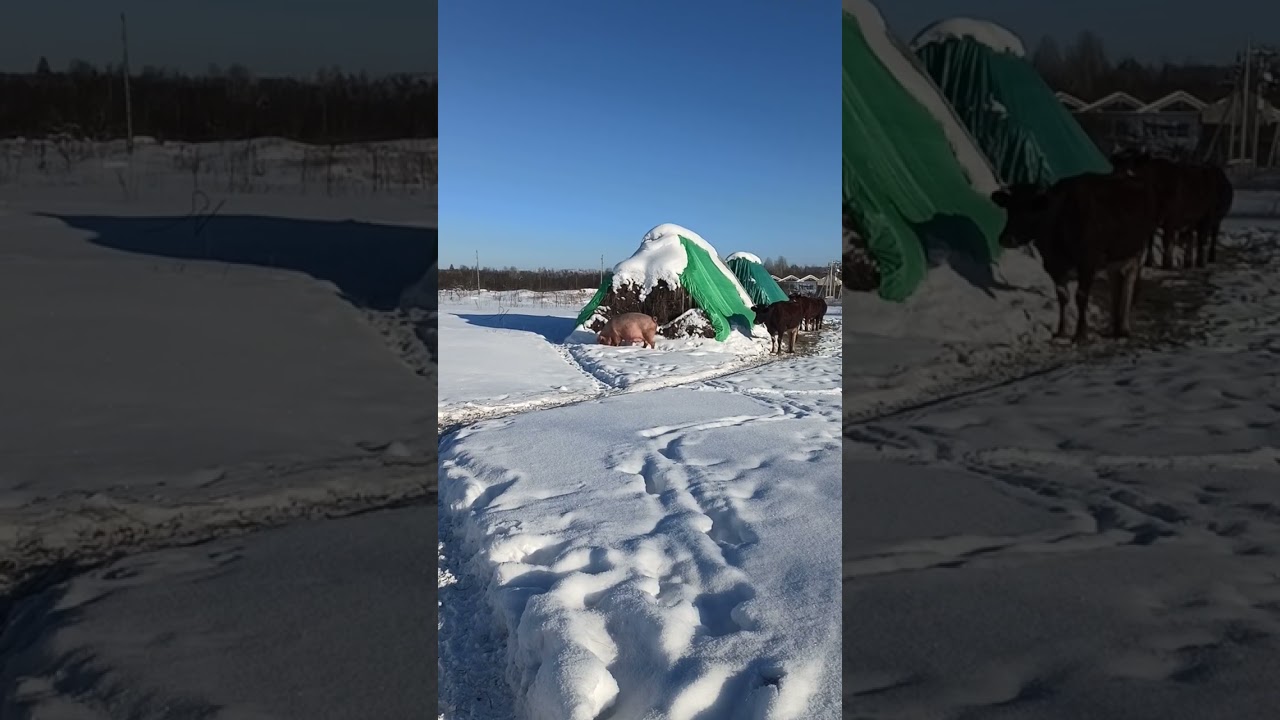 Красота неописуемая