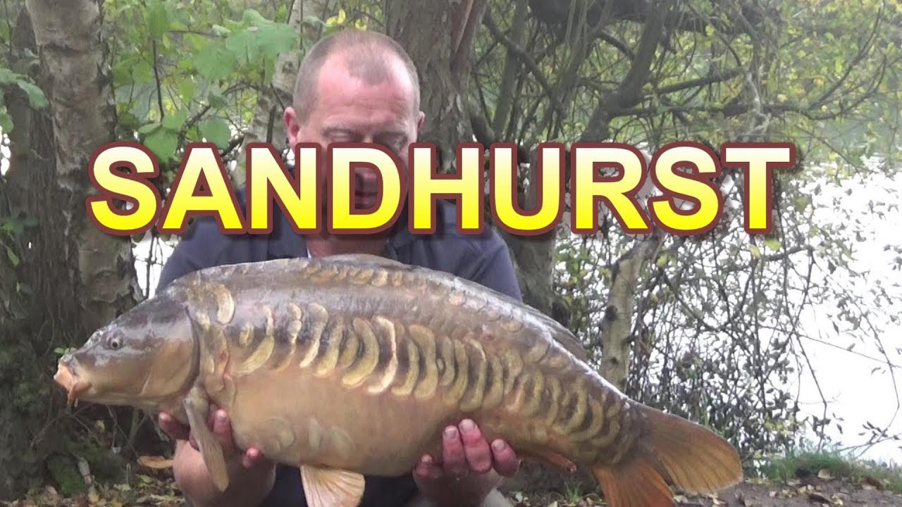 SANDHURST