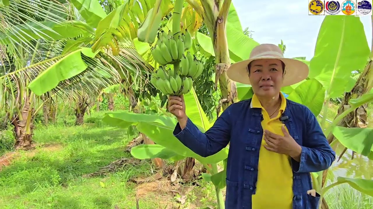 โคก หนอง นา พัฒนาชุมชน แปลงนางพันลา สีขาพิมพ์