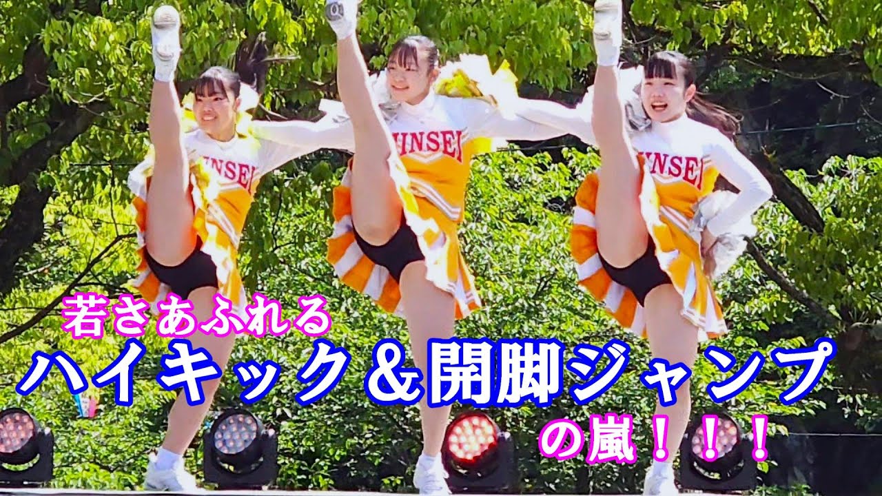 丸亀お城まつり 19の2 尽誠学園高等学校 若さみなぎる応援チア＆応援部 2024年5月3日