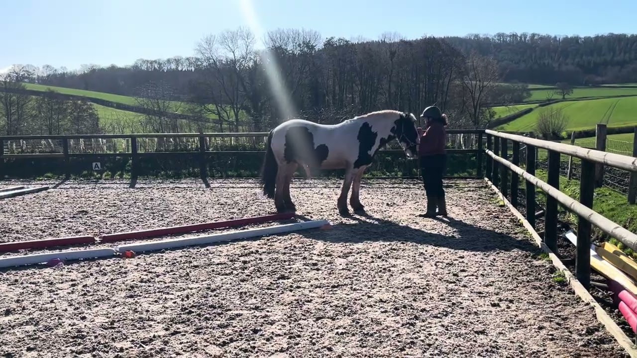 Trish Donnelly and Milo. Class 1 Led /In hand February
