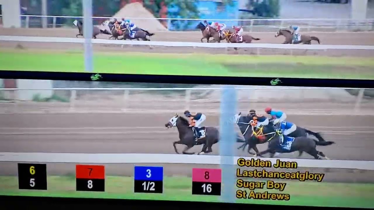 Clásico Día de Los Padres, en el Hipódromo Camarero de Puerto Rico.