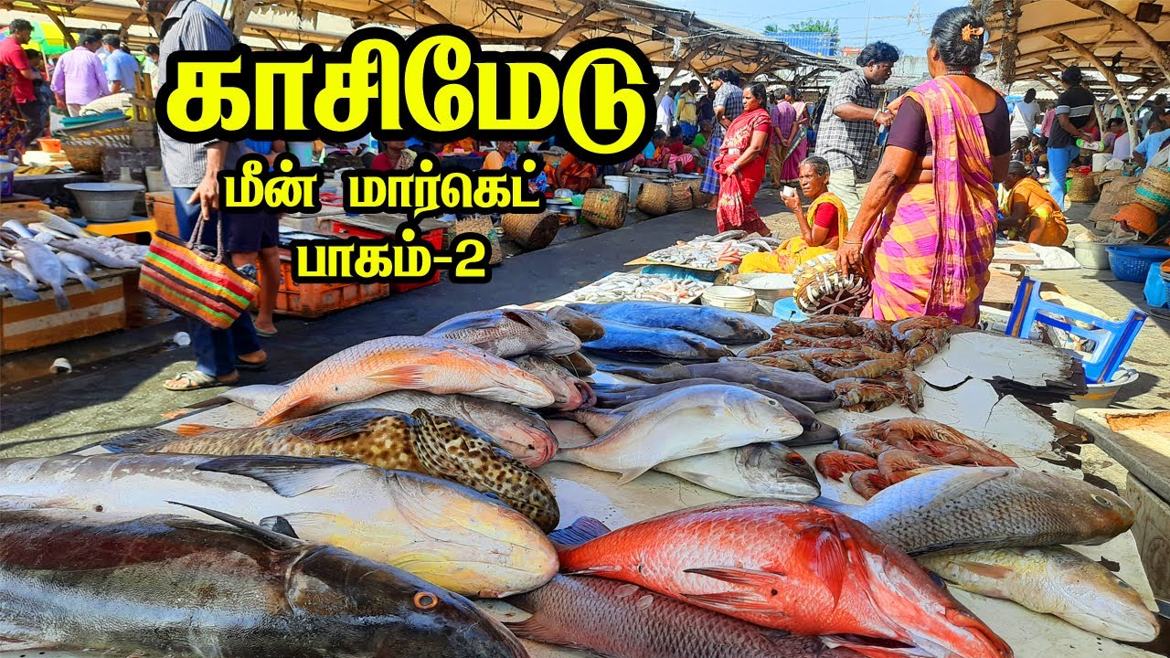 💥🐠காசிமேடு மீன் சந்தை பாகம் 2❤|Kasimedu fish Market #wholesalefishmarket #food #kasimedufishmarket