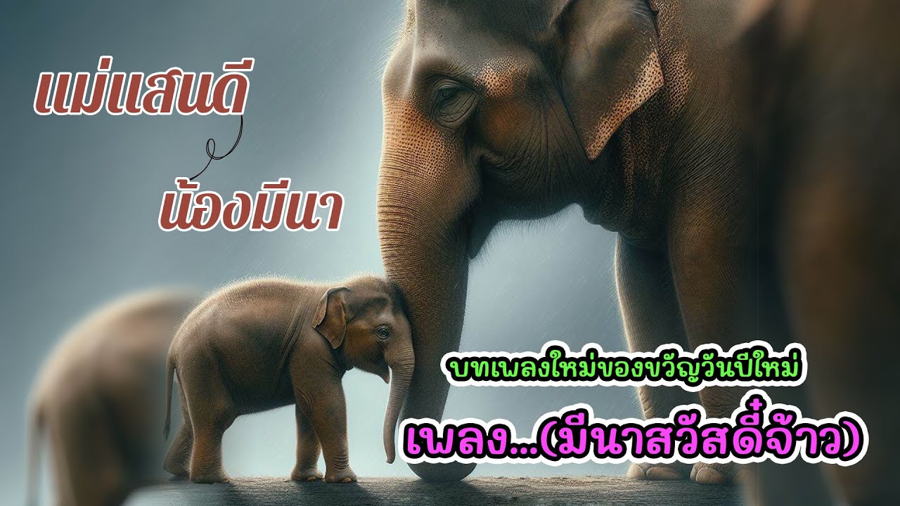 เพลง...(มีนาสวัสดี๋จ้าว) ของขวัญปีใหม่สำหรับสมาชิกทุกคน : ศิลปิน ขุนเดช มิเตอร์