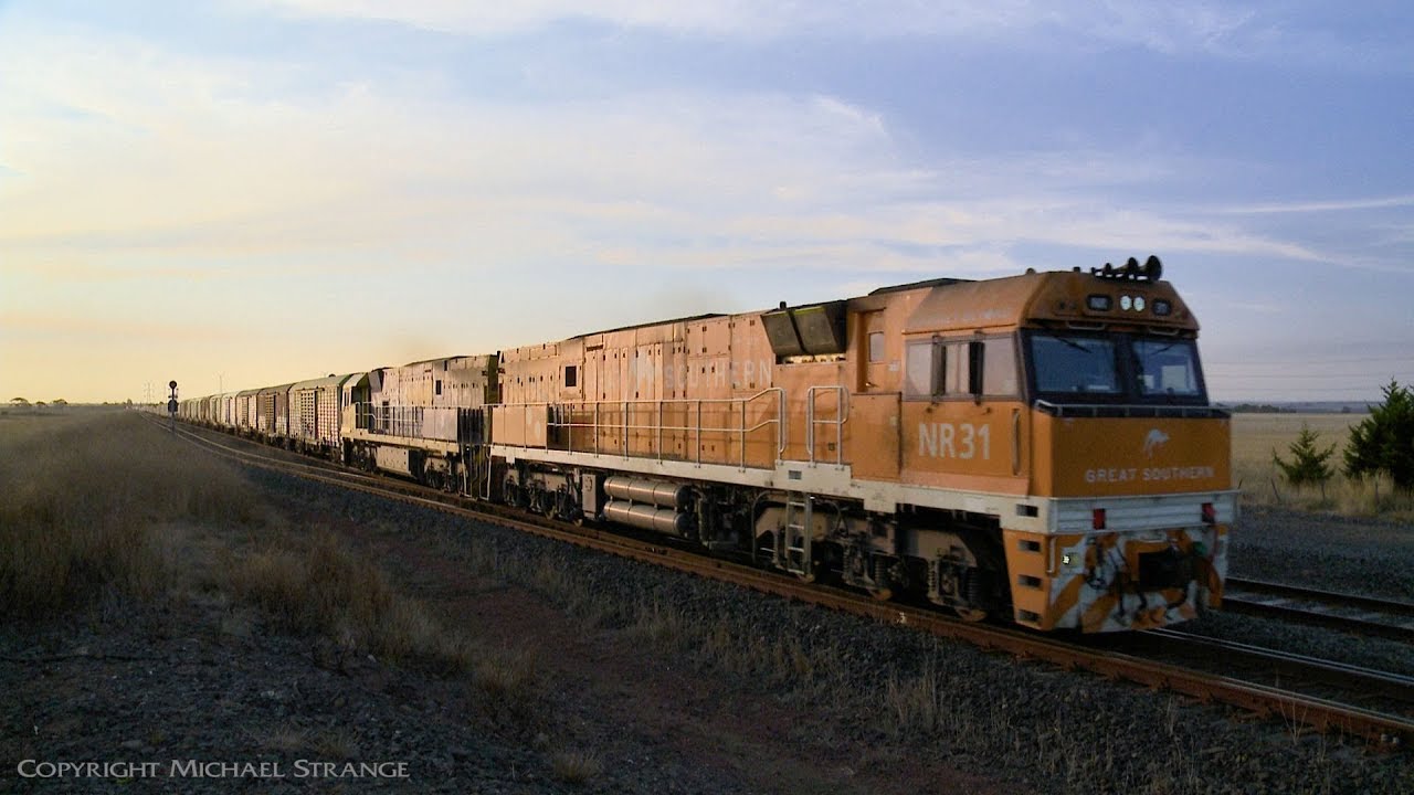 NR31 