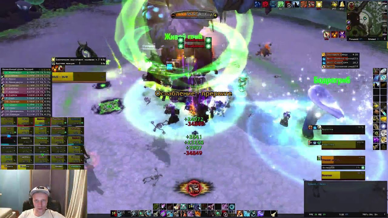 Brackenspore HM30