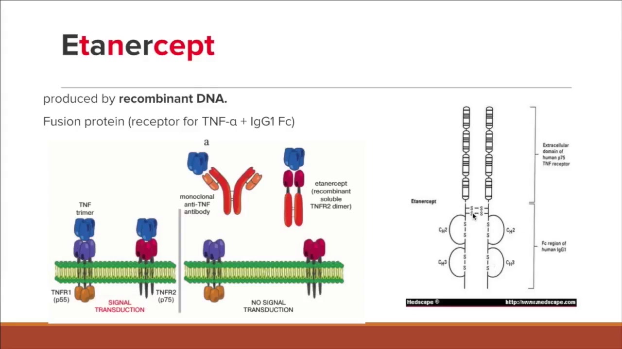 Tnf a Inhibitors Usmle Comlex Review