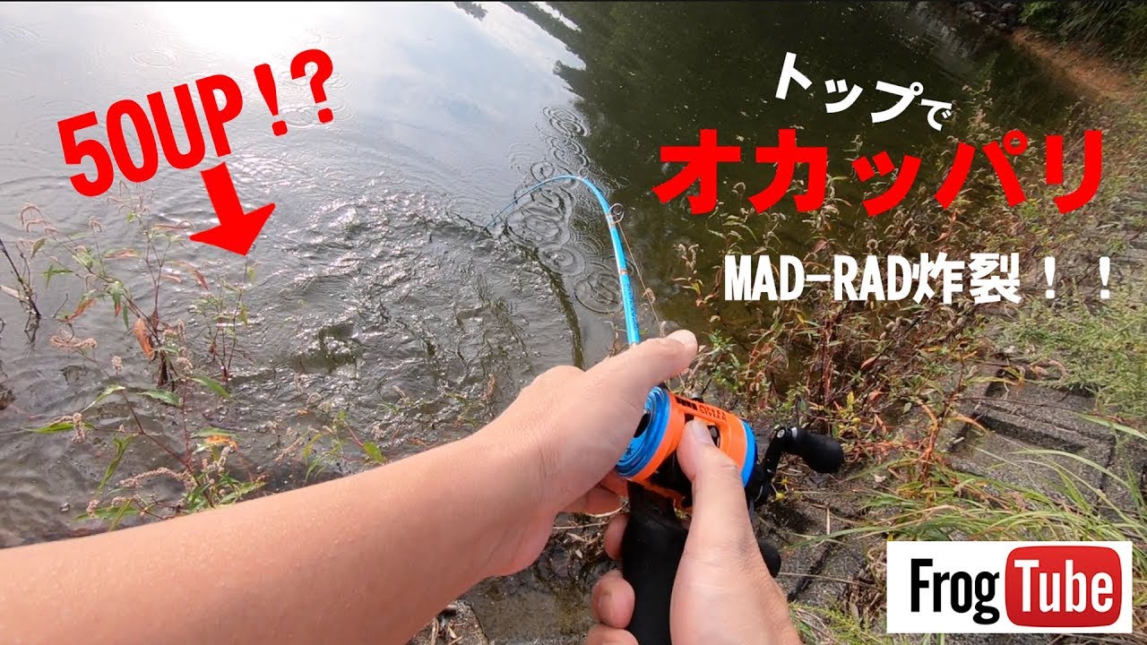 トップオカッパリ！マッドラッド シリーズ炸裂！５０UP！！
