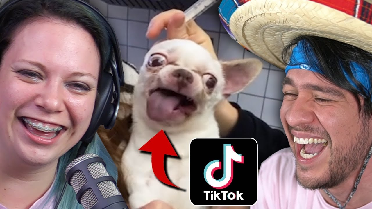 TikToks That Made Us Laugh
