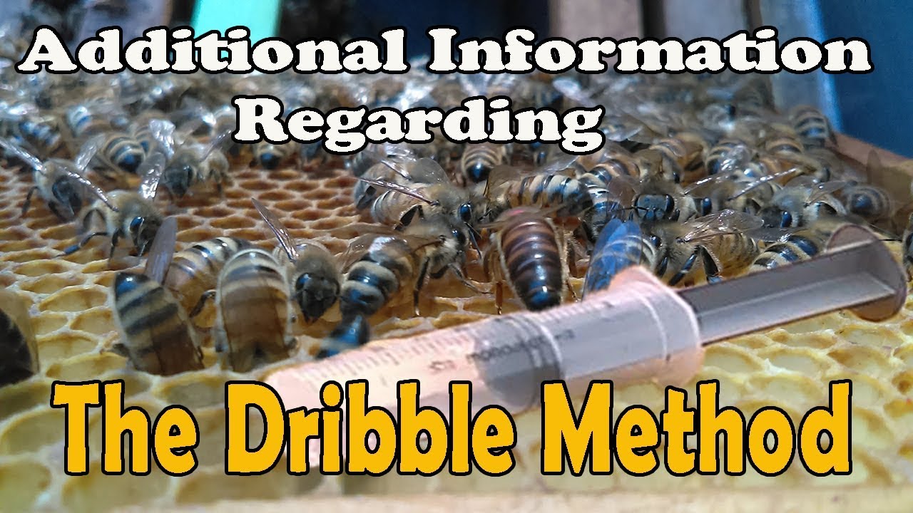 The Dribble Method (Mite Treatment)....Additional Information Learned