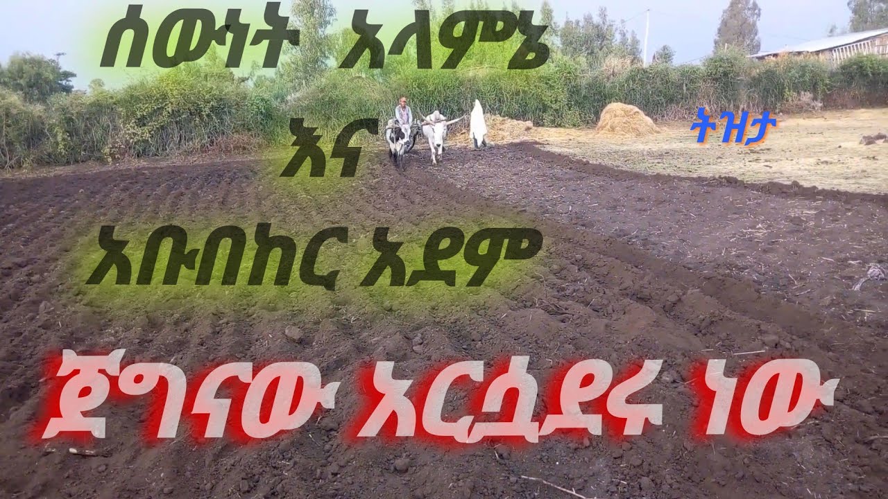 ሰውነት አላምኔ እና አቡበከር አደም ጀግናው አርሷደሩ ነው#music