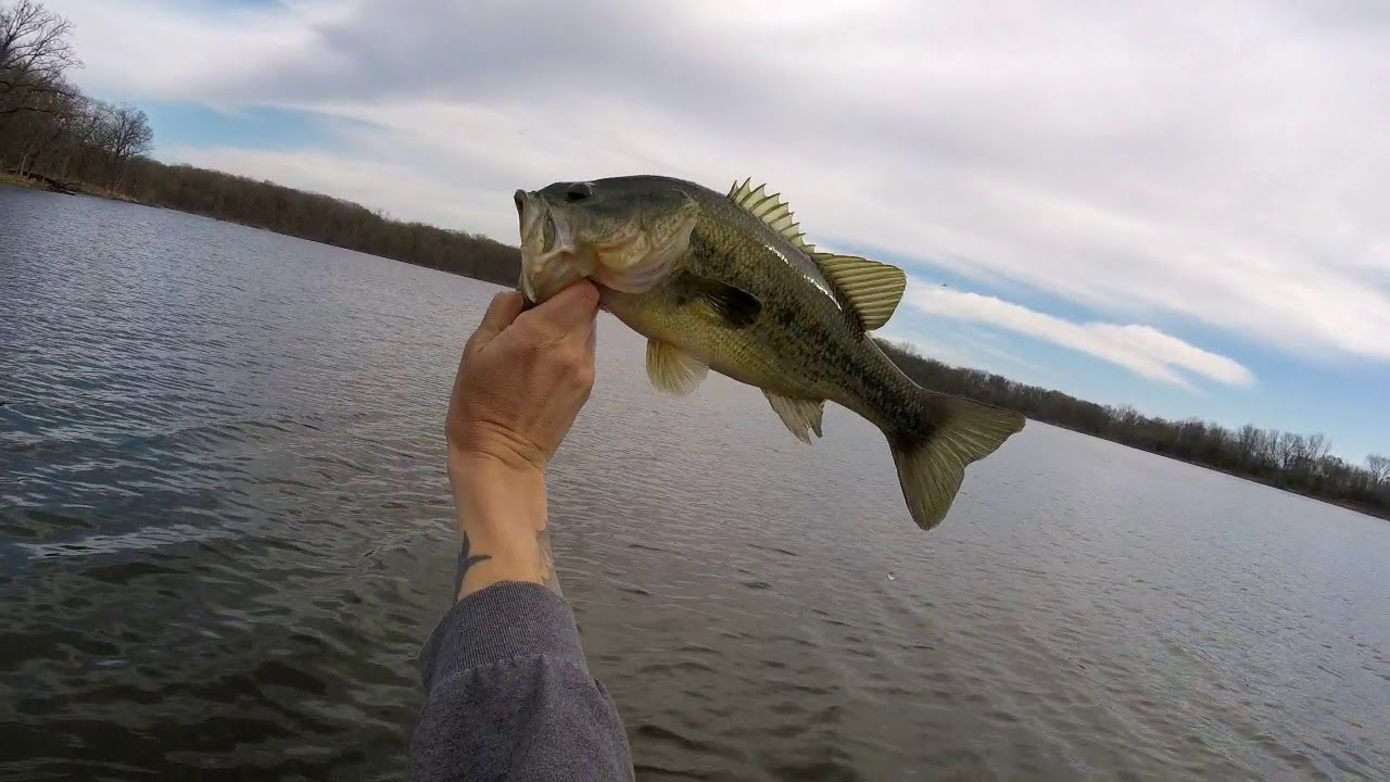 Bass fishing at BUSSE WOODS April 2019