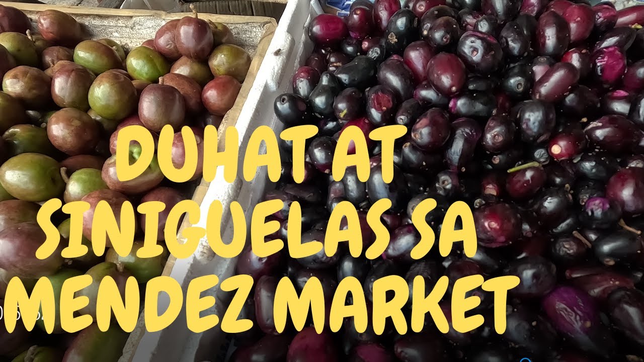 2024 TOUR OF MENDEZ PUBLIC MARKET